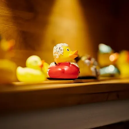 Bannwaldsee Hotel 4*